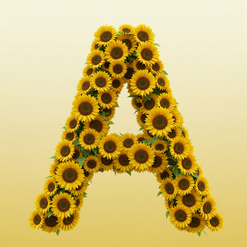 1000112814.png