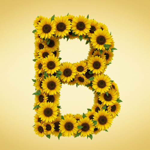 1000112815.png