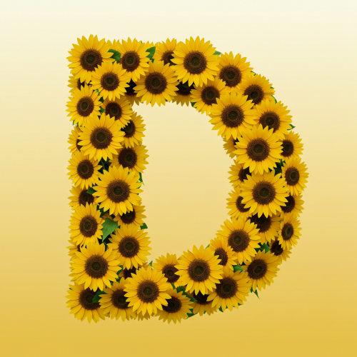 1000112821.png