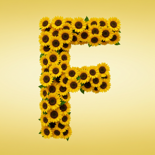 1000112824.png