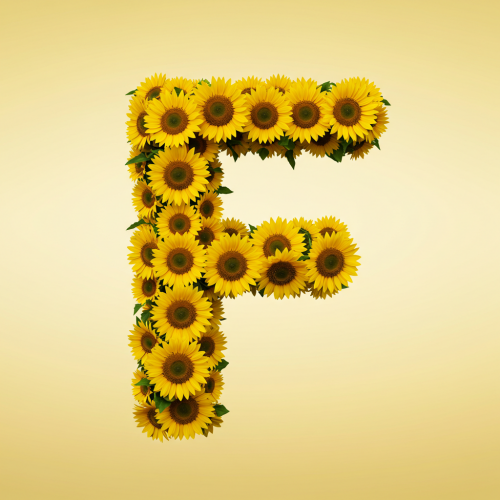 1000112825.png