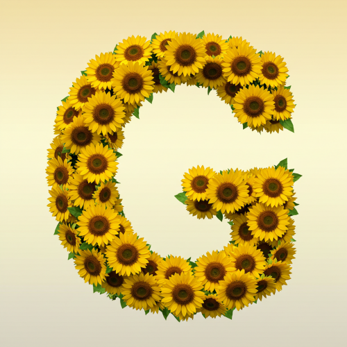 1000112826.png