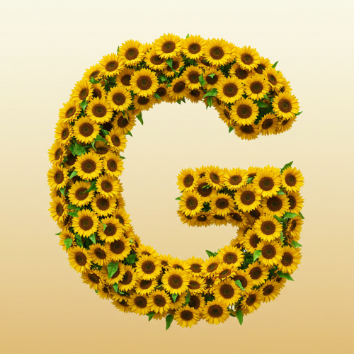 1000112827.png