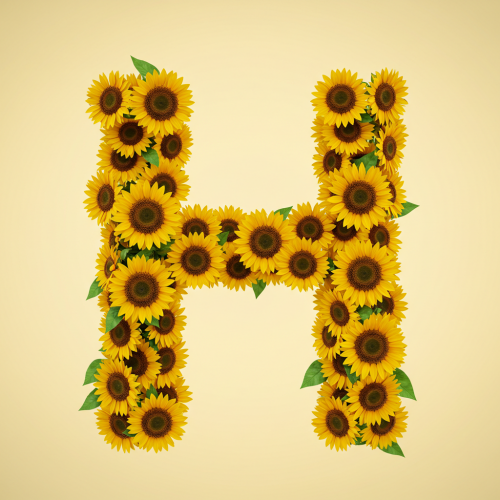 1000112953.png