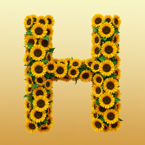 1000112955.png
