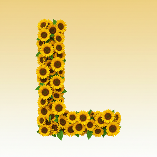 1000112976.png