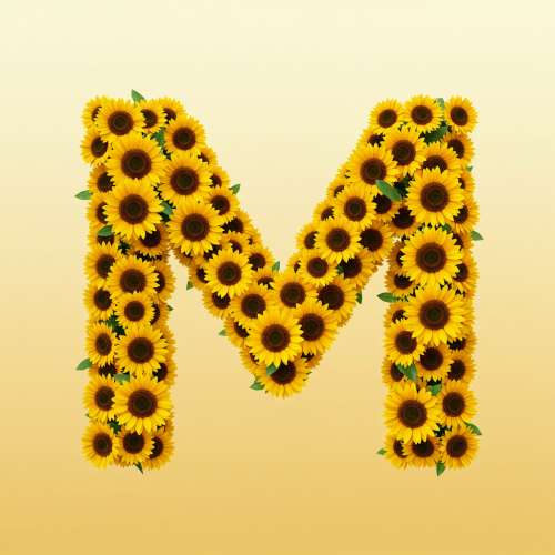 1000112980.png