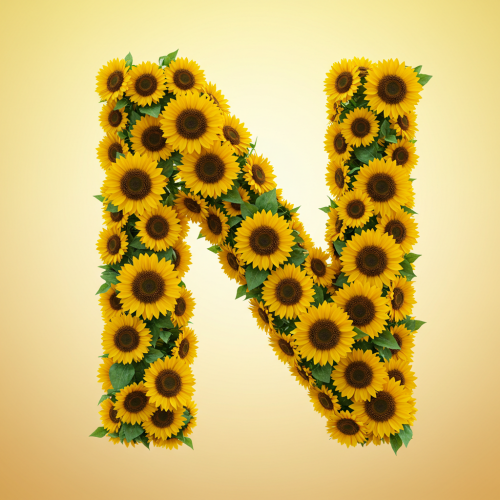1000112989.png