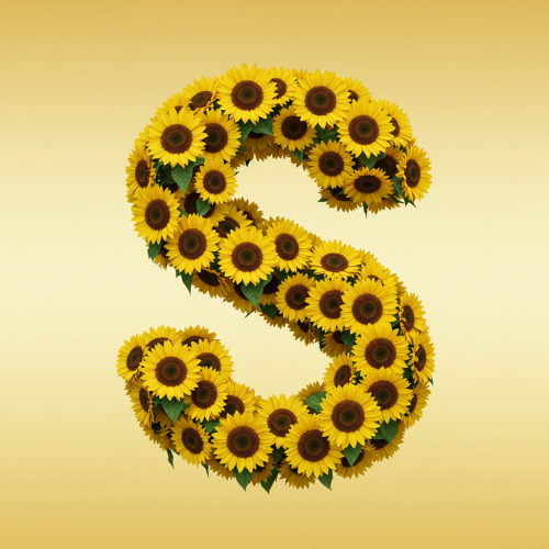 1000113005.png