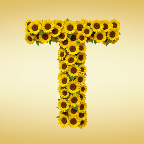 1000113007.png