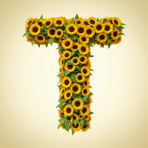 1000113008.png
