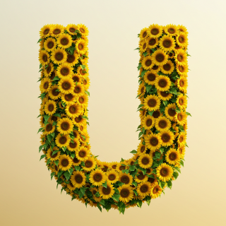 1000113010