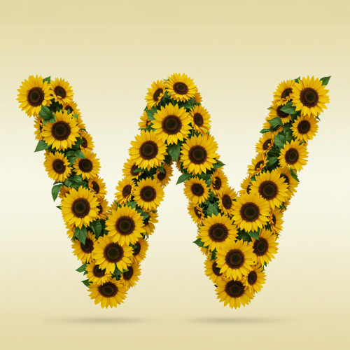 1000113056.png