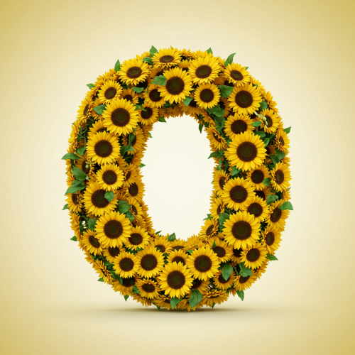 1000113057.png