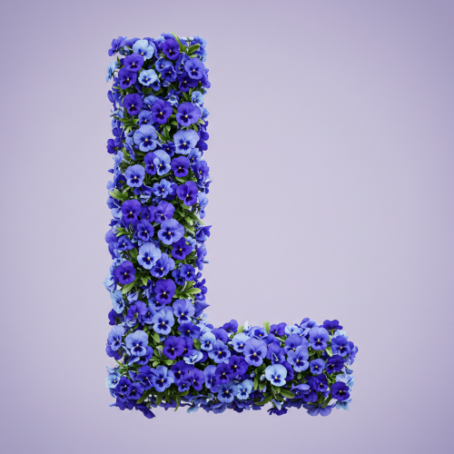 1000112656.png