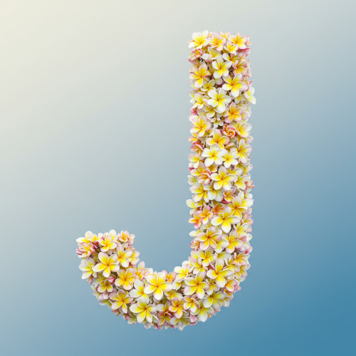 1000113647.png