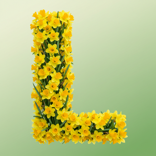 1000117737.png