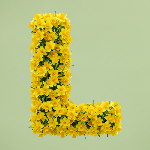 1000117738.png