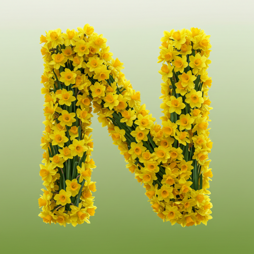 1000117743.png