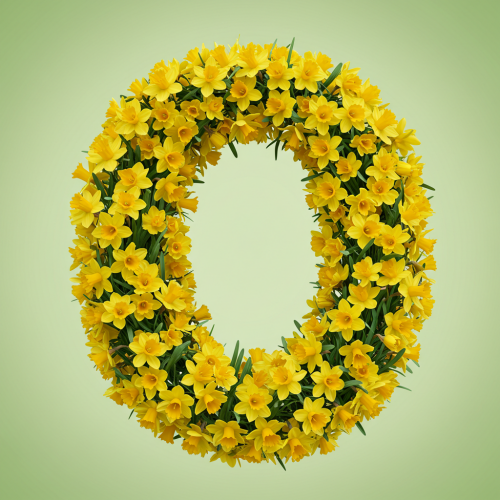 1000117744.png