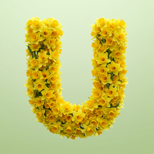 1000117759.png
