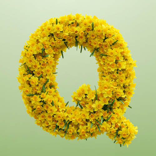 1000117774.png