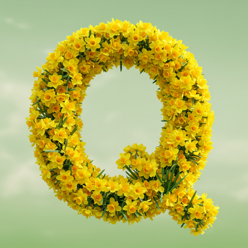 1000117775.png
