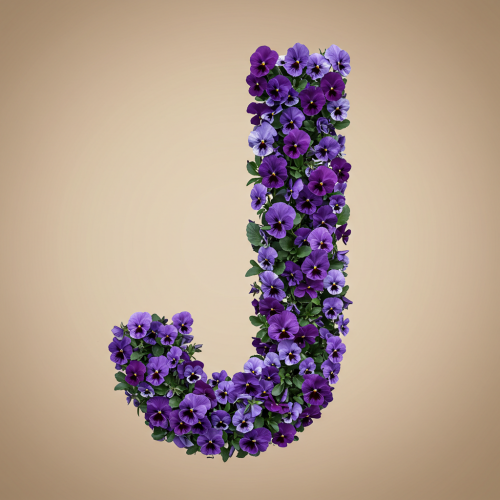 1000117893.png