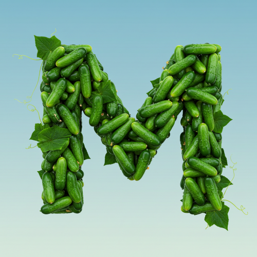 1000119752.png