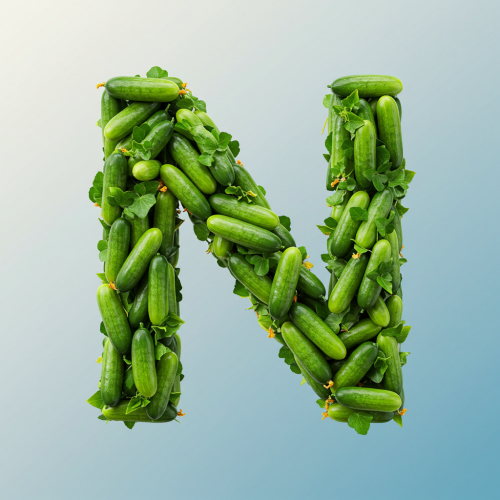 1000119757.png