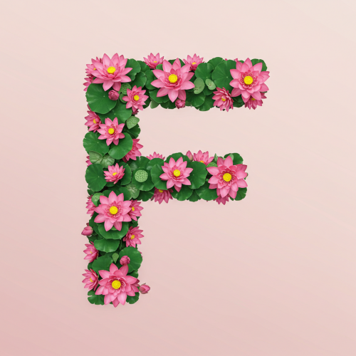 1000121538.png