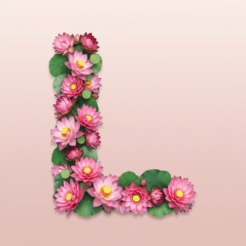1000121611.png