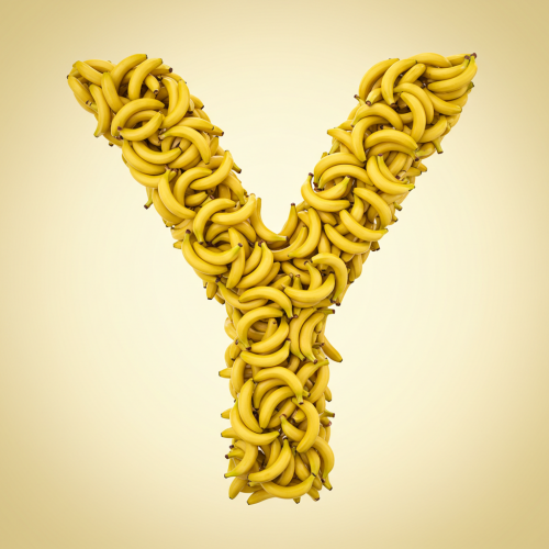 1000120520.png